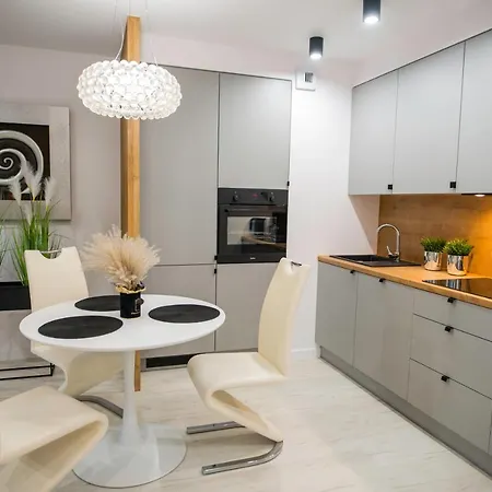 Apartament Nowoczesny Ludova *