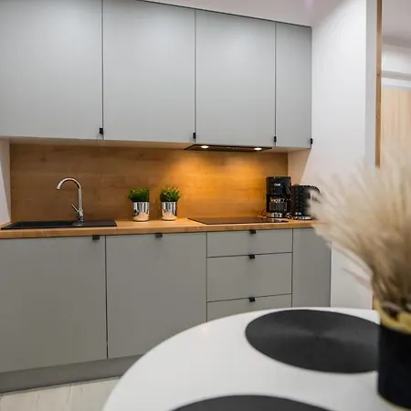 Apartament Nowoczesny Ludova