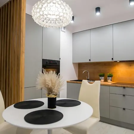 Nowoczesny Ludova Apartament